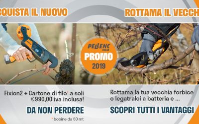 PROMO VIGNA 2019